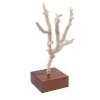 Acropora Nobilis Coral on Walnut Base