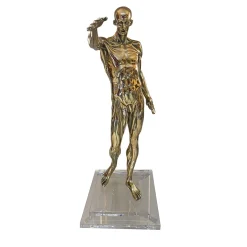 Anatomy Brass Statuette