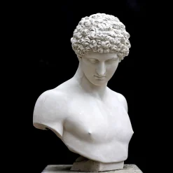 Antinous Plaster Bust
