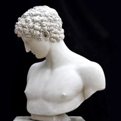 Antinous Plaster Bust
