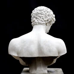 Antinous Plaster Bust