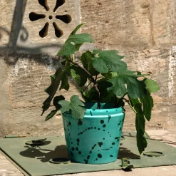 Aqua and Green Ceramic Cachepot Vase