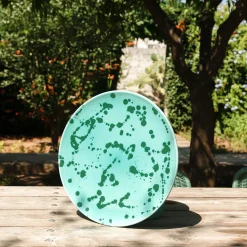 Aqua and Green Ceramic Decorative Plate