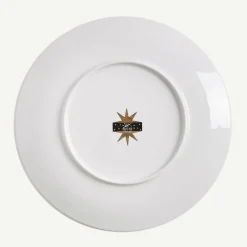 Astronomici Decorative Plate