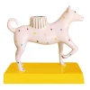 Baloo Multicolor Ceramic Candle Holder