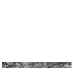 Black & Silver Gleaming Wildscape Polyester Wallcovering Fabric