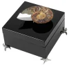 Black Box with Ammonite