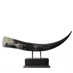 Black Horn Sculpture