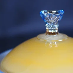 Blue Crystal Doge Box