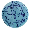 Celeste and Blue Ceramic Decorative Plate