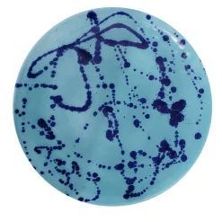 Celeste and Blue Ceramic Decorative Plate