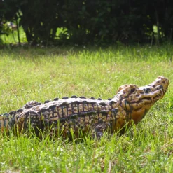 Coccodrillo Polychrome Sculpture