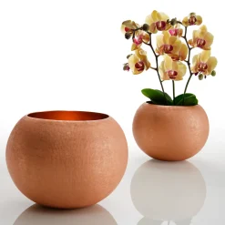 Coccorosso Centerpiece