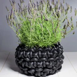 Colosso Black Basket #1 by Rosanna Contadini