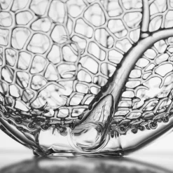 Coral Glass Sculpture #2