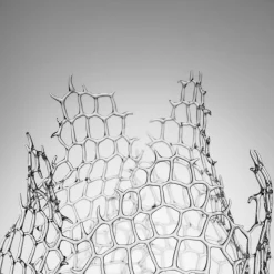 Coral Glass Sculpture #2