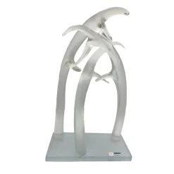 Corni Transparent Crystal Sculpture