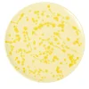 Cream and Yellow Ceramic Decorative Plate