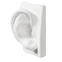 David's Ear White Sculpture