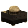 Ebony Square Box with Gold Sea Urchin