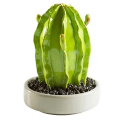 Euphorbia Ceramic Plant d.15