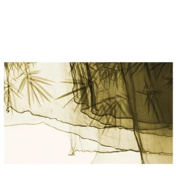 Floating on Bamboo Wallpaper