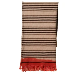 Formia Fringed Striped Polychrome Cashmere & Silk Blanket