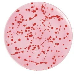 Fuchsia and Red Ceramic Decorative Plate