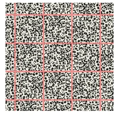 Fuga Fragola Wallpaper by Studio Lievito