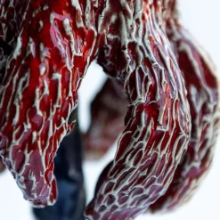 Funghi#29-2024 Sculpture