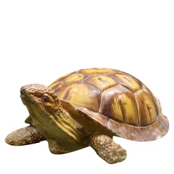 Giant Tortoise Sculpture