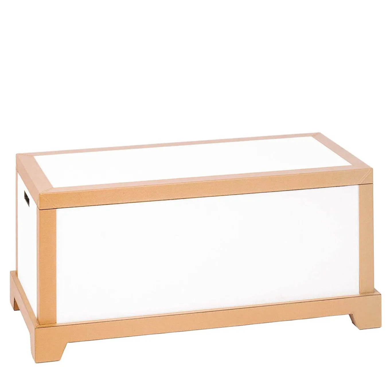 GIOTTO BICOLOR MEDIUM SHOE TRUNK