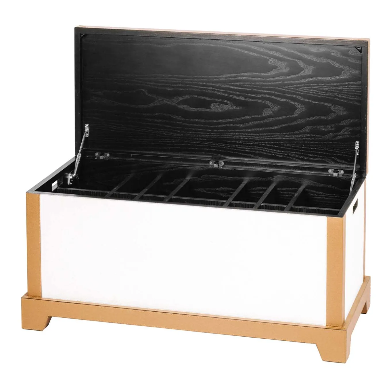 GIOTTO BICOLOR MEDIUM SHOE TRUNK