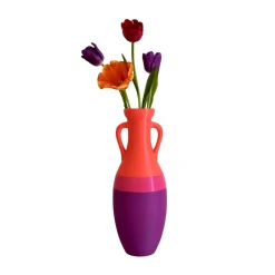 Giulio Cesare XL Purple Fucsia And Orange Amphora #1