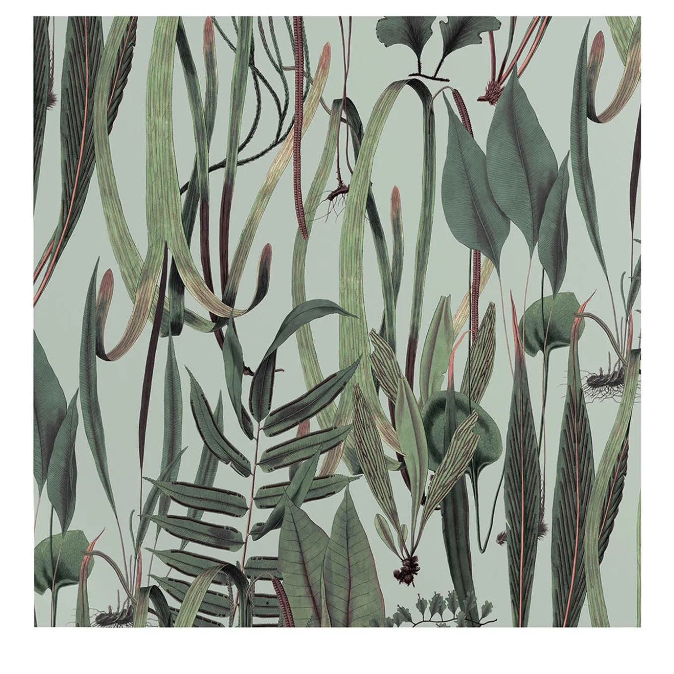 Green Vintage Botanical Herbs Wallpaper