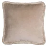 Happy Beige and Beige Cushion