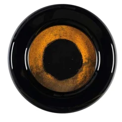 Hypnosis 38 cm Modular Object