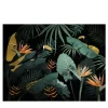 Jungle Dream Black Nature Wallpaper