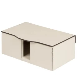 Luna Sanitary Facemask Box #2