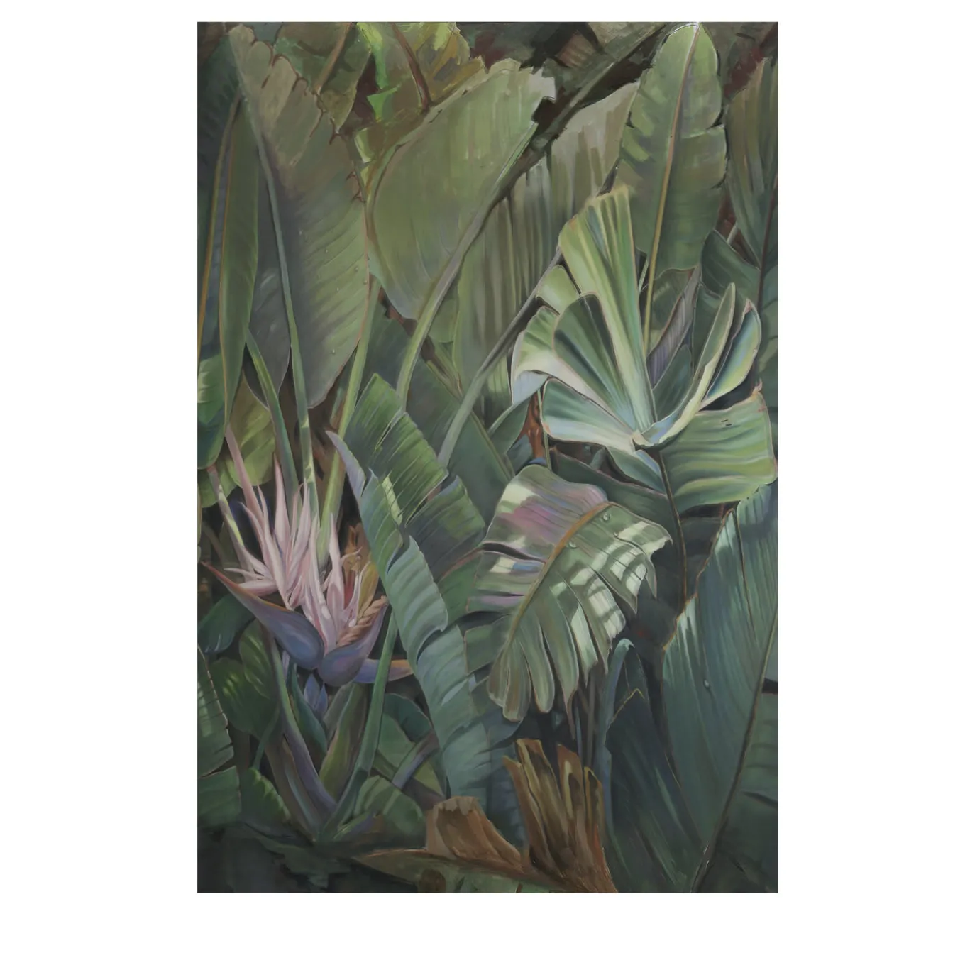 Lush Tropical Forest Wallpaper