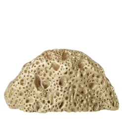 Madrepora Set of 4 Brass Door Knobs by Nicole Valenti