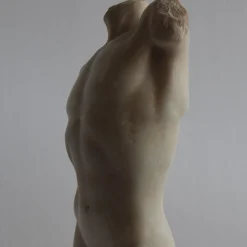 Mars Torso Carrara Marble Sculpture with Base