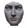 Michelangelo's David's Plaster Head