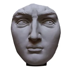Michelangelo's David's Plaster Head