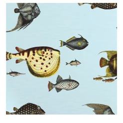 Multicolor Vintage Fish Wallpaper