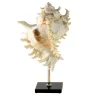 Murex Shell Pedestal Sculpture