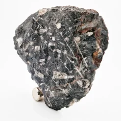 Nautilo Sculpture Clock by Nino Basso