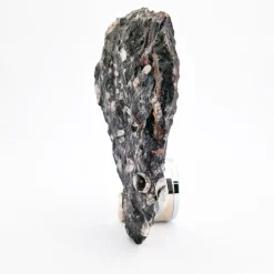 Nautilo Sculpture Clock by Nino Basso