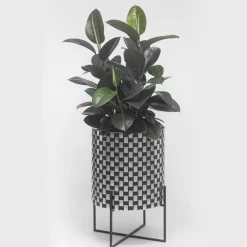 Nexum Optical 30 Black Cachepot