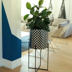 Nexum Optical 60 Black Chachepot